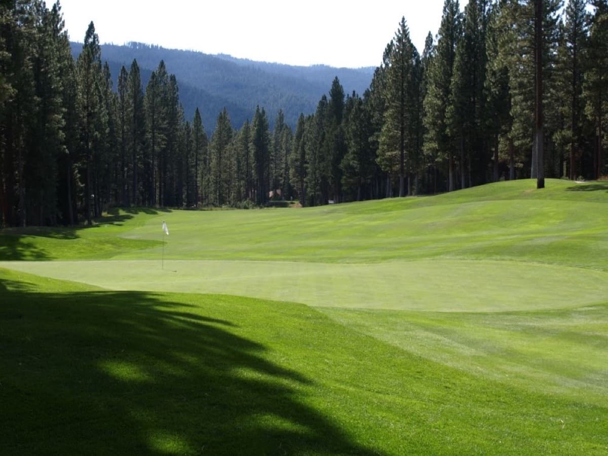 Green and fairway at The Golf Club at Whitehawk Ranch framed by tall pines
