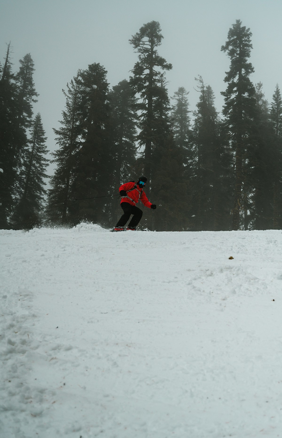 Best Ski Resorts Near Northstar — All 5 Ranked for 2026